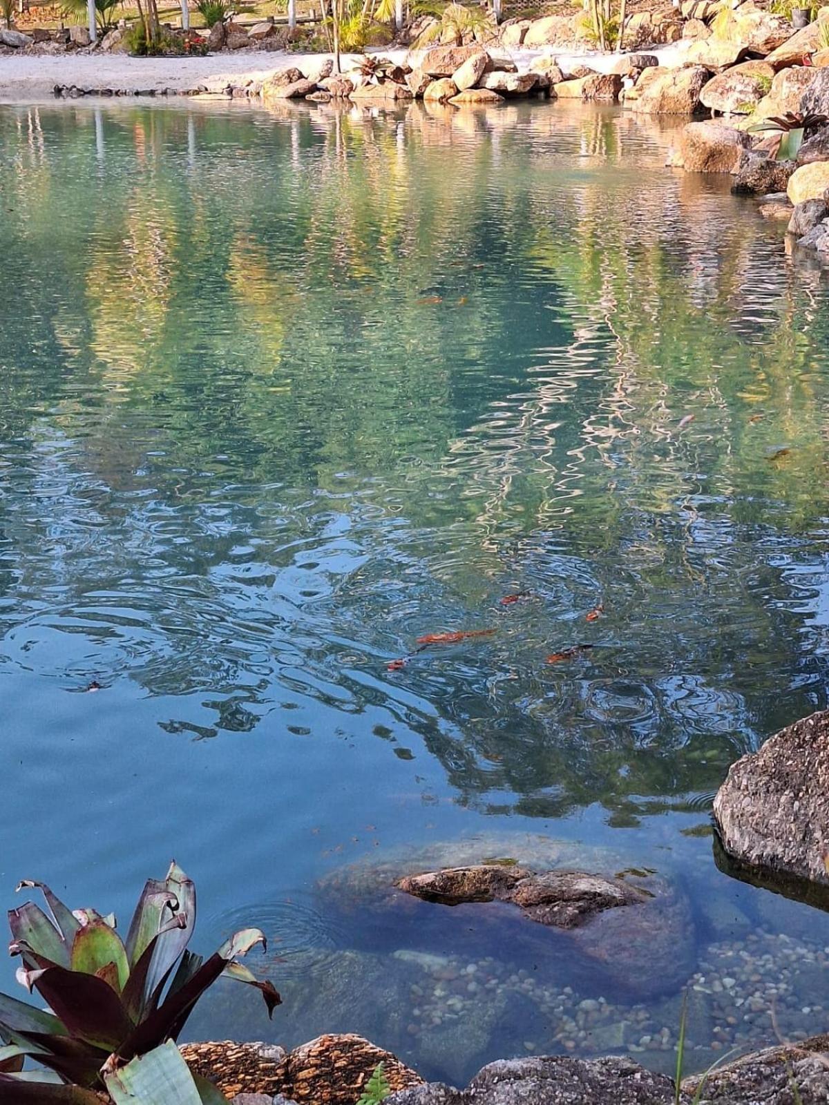 Fazenda Gamela Eco Resort Cantagalo  外观 照片